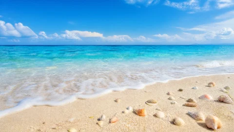 夏日海滩清新桌面壁纸