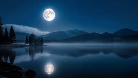 月夜湖面静谧桌面壁纸