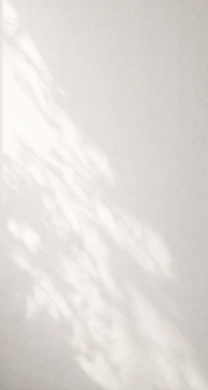 静谧白色墙壁平板壁纸