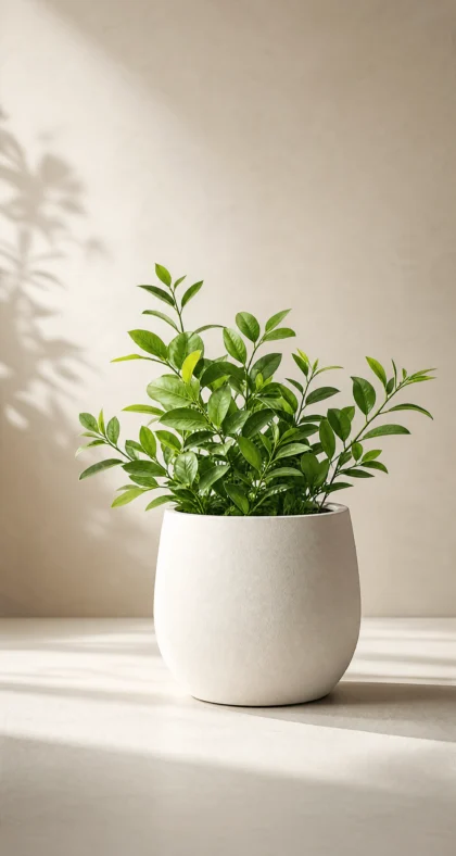 白色花盆清新简约平板壁纸