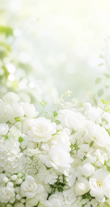 清新白花丛平板壁纸