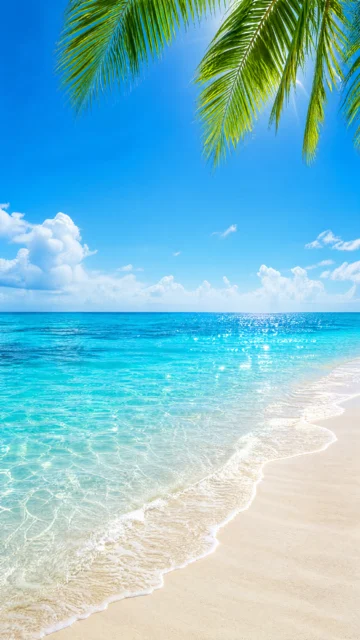 清爽海岛夏季手机壁纸