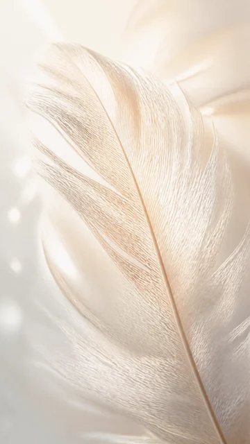 细腻羽毛柔光手机壁纸