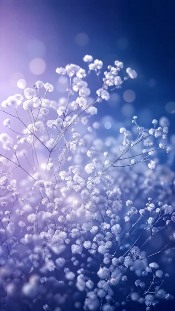 梦幻满天星手机壁纸
