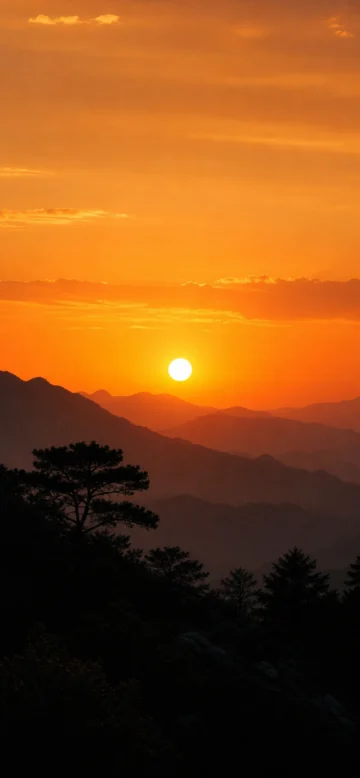 夕阳剪影手机壁纸