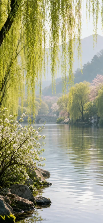 春日柳岸手机壁纸