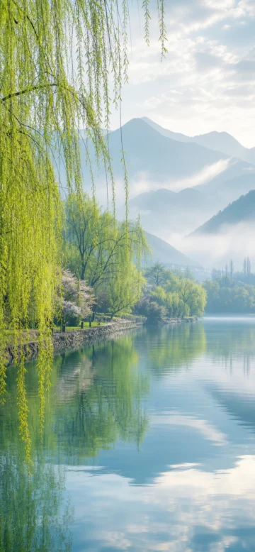 柳岸春风手机壁纸
