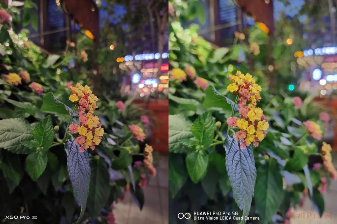 vivo x50 pro和华为p40pro买哪个好-对比哪款手机更值得入手-图片14